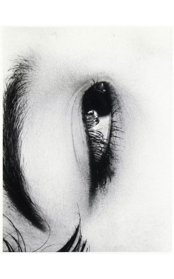 Nobuyoshi Araki, Erotos