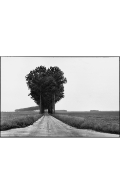 Henri Cartier-Bresson, Brie, France, 1968