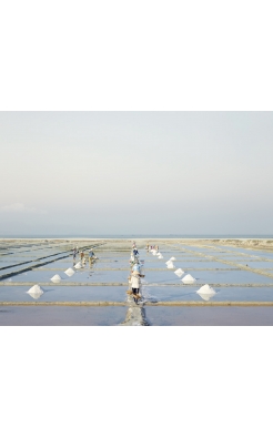 David Burdeny, Salt Farms, 2014