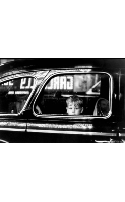Elliott Erwitt, Boy in Car Window