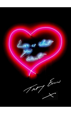 Tracey Emin, Love is What You Want, 2015