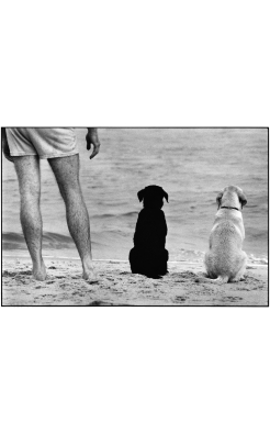 Elliott Erwitt, Amagansett, New York, 1990