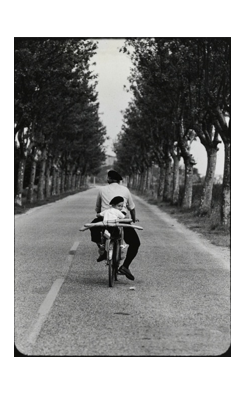 Elliott Erwitt, Provence, Boy with Baguette