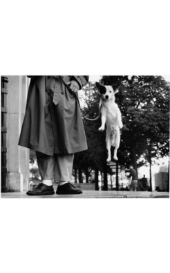 Elliott Erwitt, Paris, France, Dog Jumping, 1989