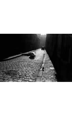 Elliott Erwitt, Pigeon in Cobbled Street, Orleans, France