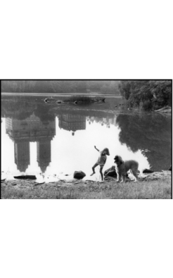 Elliott Erwitt, Central Park