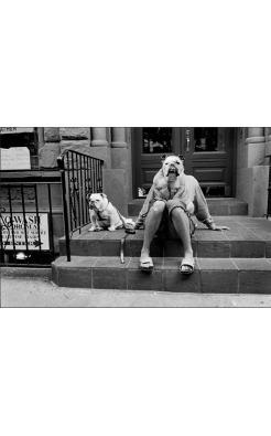 Elliott Erwitt, New York City