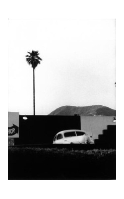 Elliott Erwitt, Los Angeles, Single Plam