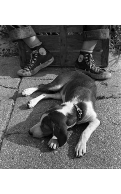 Harold Feinstein