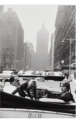 Garry Winogrand, Park Avenue, 1959