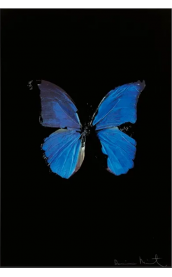 Damien Hirst, The Soul on Jacob's Ladder, 2005