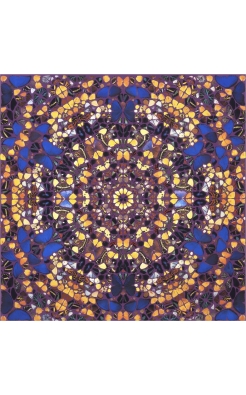 Damien Hirst, Cathedral Print, Notre Dame, 2007