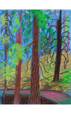 David Hockney, Untitled No. 6, from the Yosemite Suite, 2010