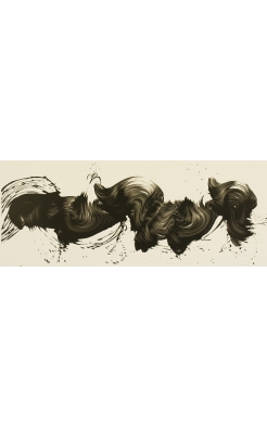 James Nares, West on Sunrise Black, 2010