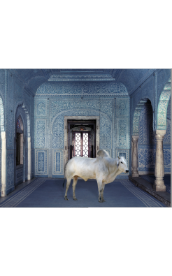 Karen Knorr, The Gatekeeper, Zanana, Samode Palace, 2010