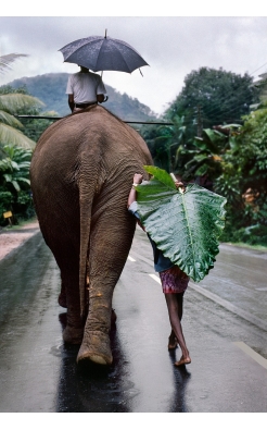 Steve McCurry, Young Man Walks Behind Elephant