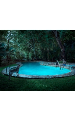 Dean West, La Piscina I, Miami, 2022