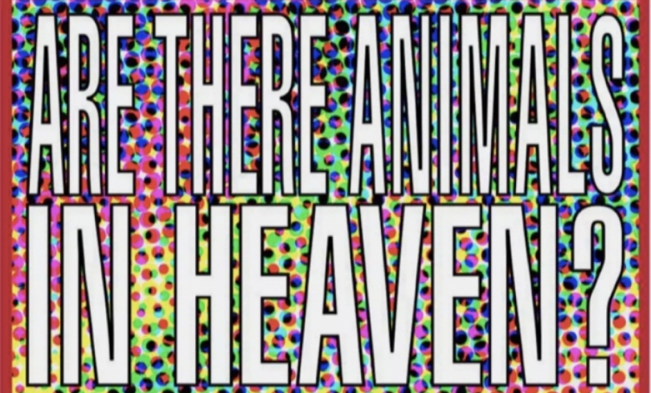 Barbara Kruger, Untitled (are there animals in heaven?), 2011