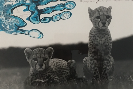 Orphaned Cheetah Cubs, Mweiga National Park, Kenya, for The End of the Game