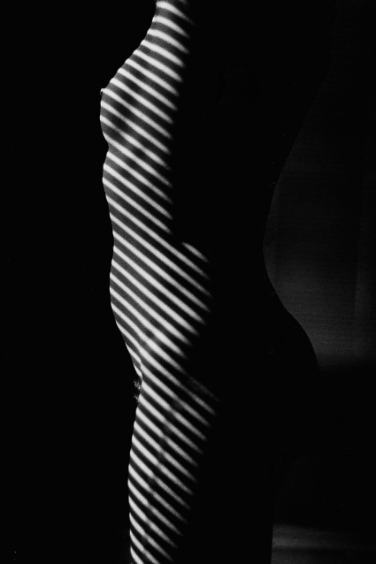 Ralph Gibson, Slatted Shadow Nude