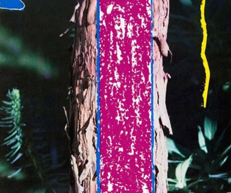 John Baldessari, 2623 Third Street, Santa Monica, 2000