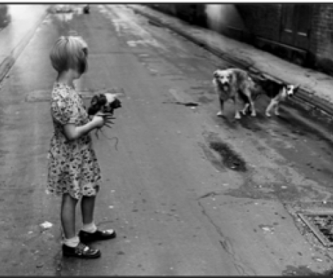 Elliott Erwitt Elliott Erwitt