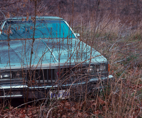 Kourtney Roy, Untitled (Northern Noir) Kourtney Roy, Untitled (Northern Noir)