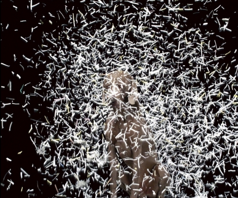 William Wegman, Blizzard, 2003