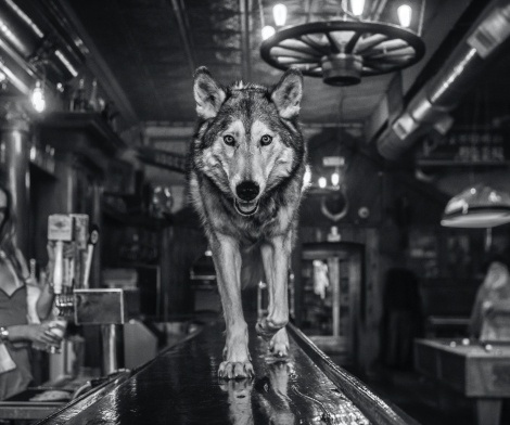 David Yarrow, Friday Night at the Pioneer, 2021