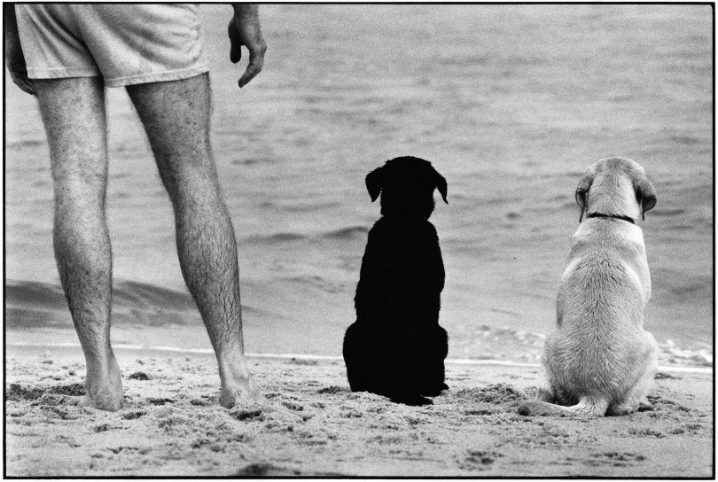 Elliott Erwitt, Amagansett, New York, 1990 Elliott Erwitt, Amagansett, New York, 1990