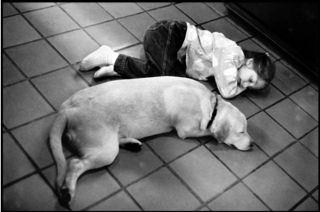 Elliott Erwitt Elliott Erwitt