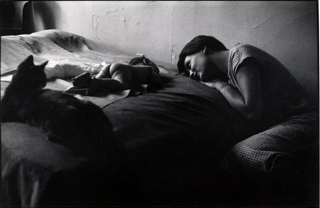 Elliott Erwitt, Mother and Child Elliott Erwitt, Mother and Child
