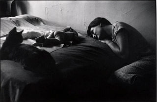 Elliott Erwitt, Mother and Child