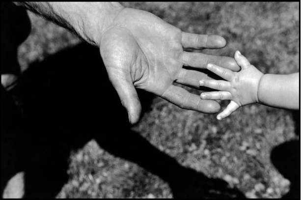 Elliott Erwitt