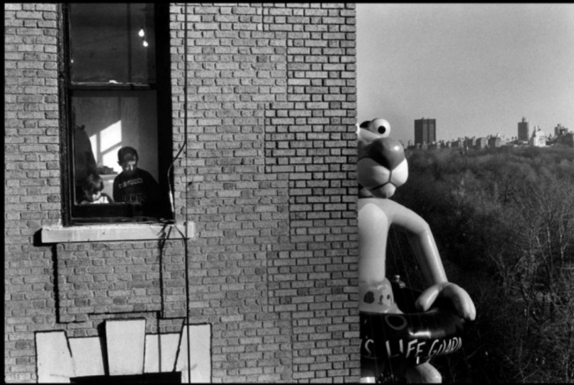 Elliott Erwitt Elliott Erwitt