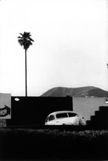 Elliott Erwitt, Los Angeles, Single Plam Elliott Erwitt, Los Angeles, Single Plam