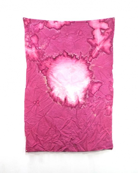 Sam Falls, Untitled (Pink, Joshua Tree, CA), 2012 Sam Falls, Untitled (Pink, Joshua Tree, CA), 2012