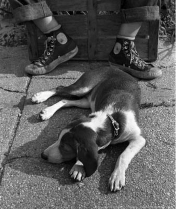 Harold Feinstein