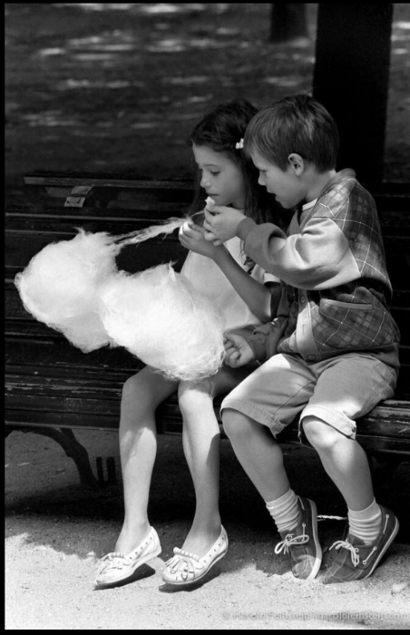 Harold Feinstein Harold Feinstein