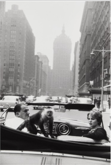 Garry Winogrand, Park Avenue, 1959 Garry Winogrand, Park Avenue, 1959