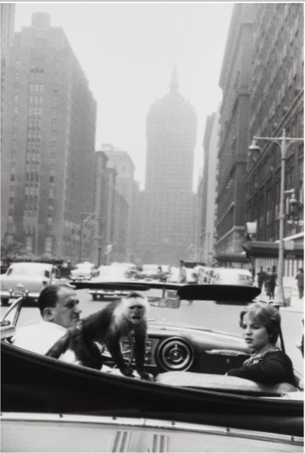 Garry Winogrand, Park Avenue, 1959