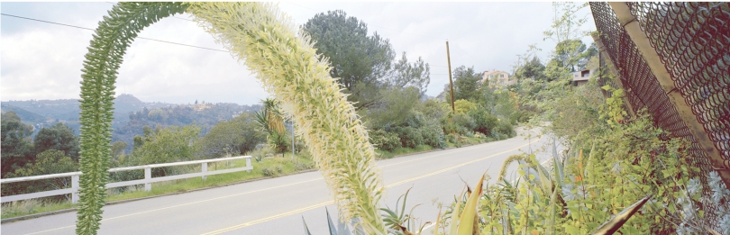 Mulholland near Runyon Canyon, Karen Halverson, 1991 Mulholland near Runyon Canyon, Karen Halverson, 1991