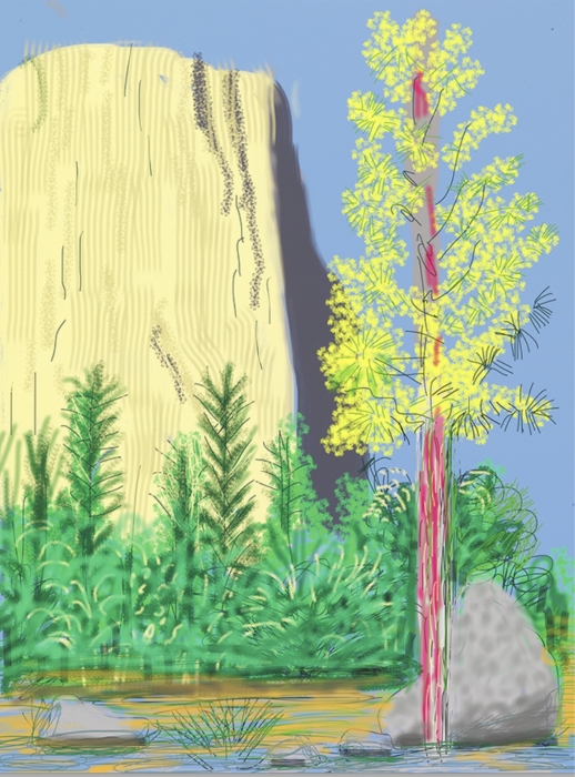David Hockney, Yosemite, No. 22