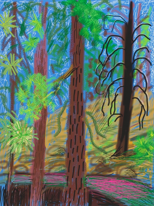 David Hockney, Untitled No. 6, from the Yosemite Suite, 2010