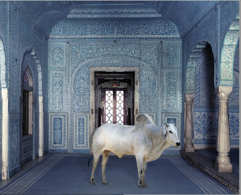 Karen Knorr, The Gatekeeper, Zanana, Samode Palace, 2010