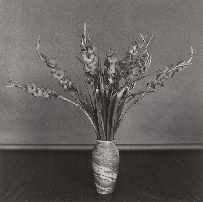 Robert Mapplethorpe, Gladioli, 1979