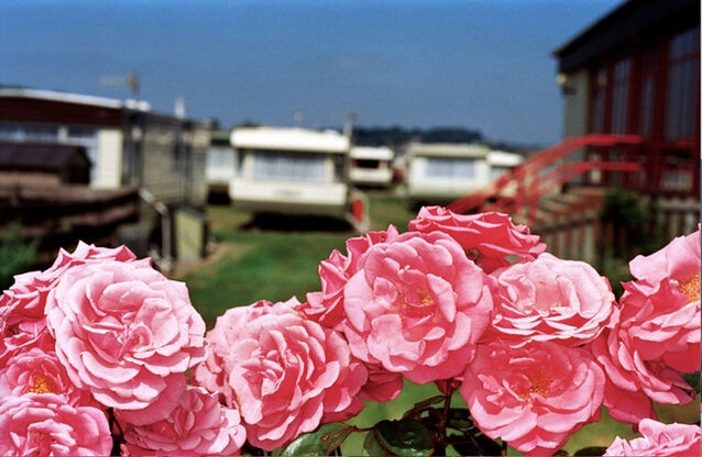 Martin Parr, Flowers West Bay, England, 1999