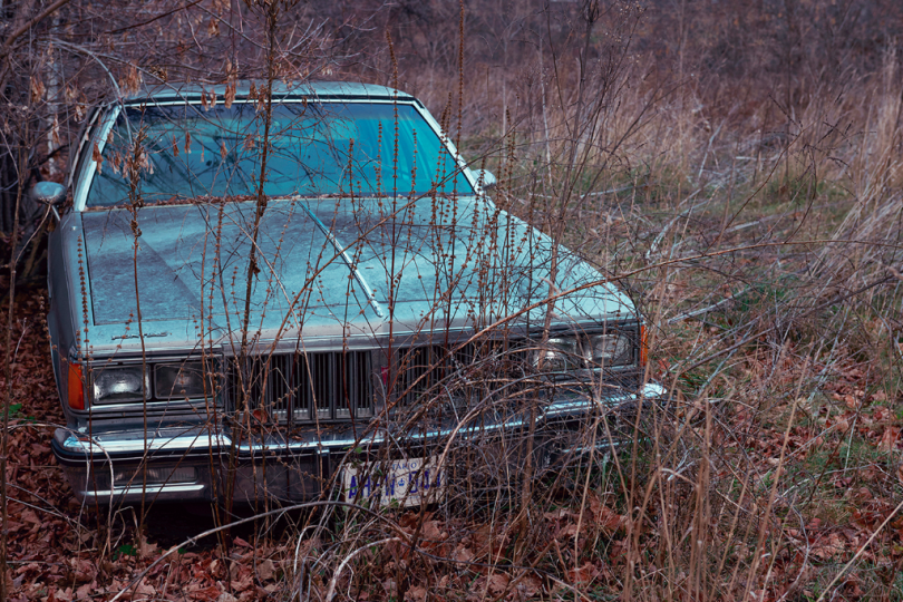 Kourtney Roy, Untitled (Northern Noir)