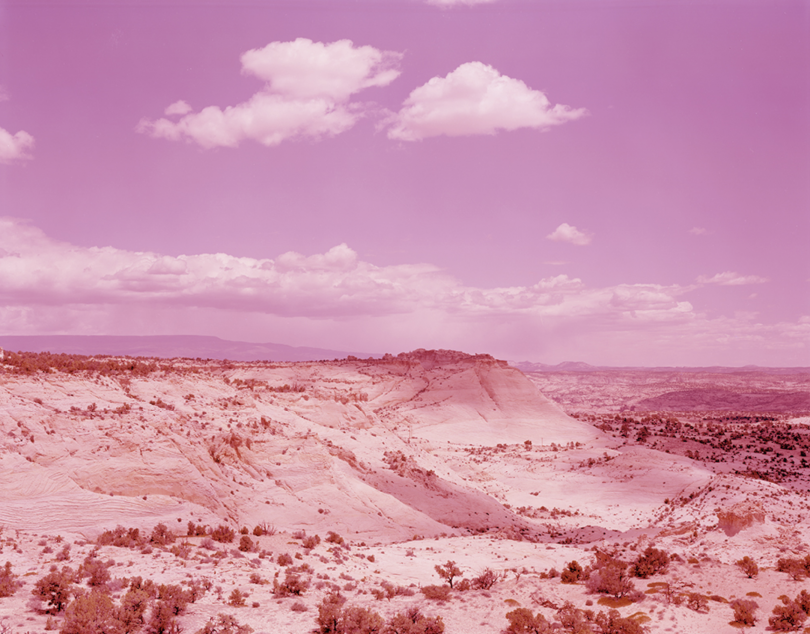 David Benjamin Sherry, Pink Desert