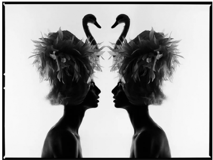 Tyler Shields, The Two Swans, 2022 Tyler Shields, The Two Swans, 2022